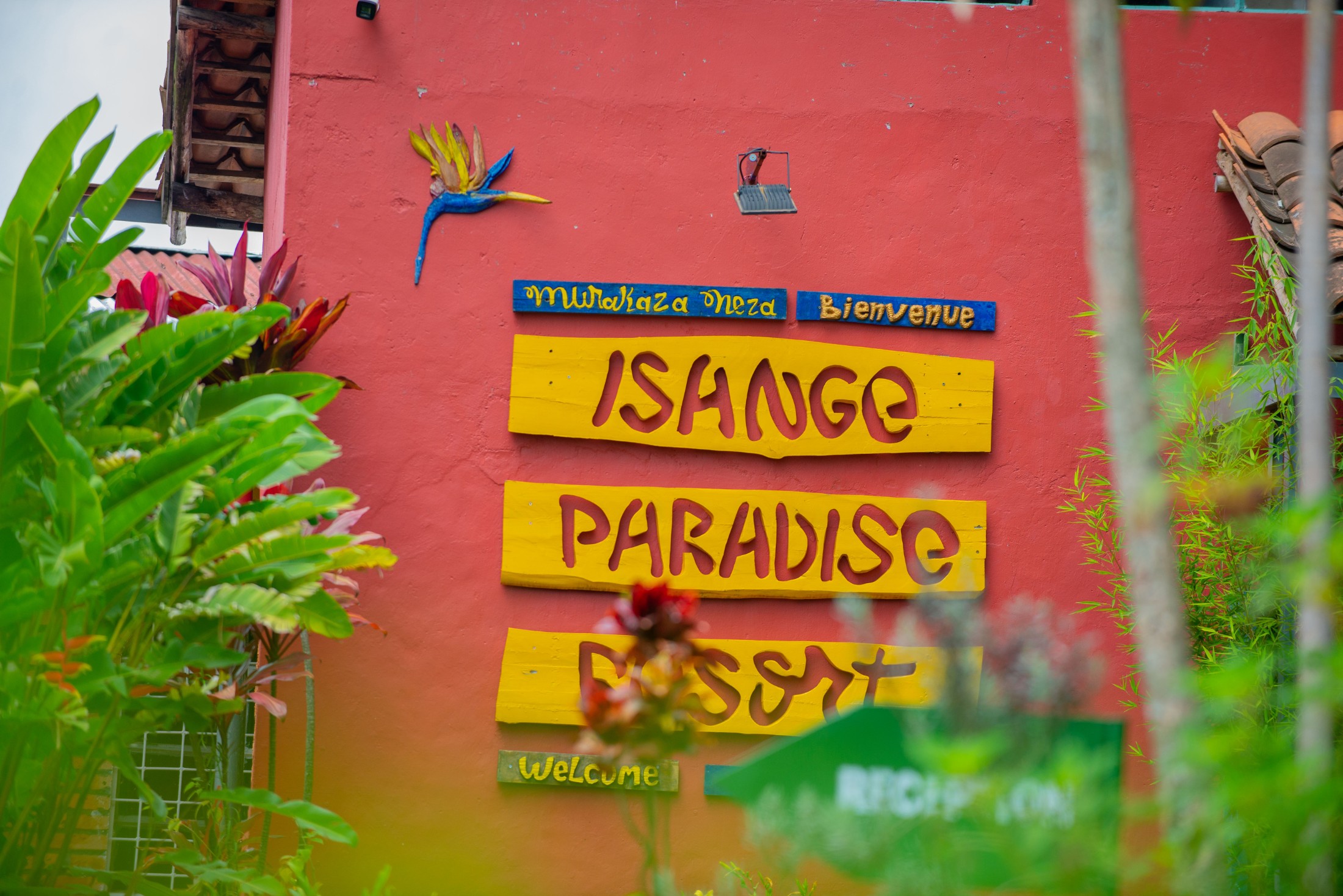Eco Resort vs Standard Hotel Rwanda - Which Fits?