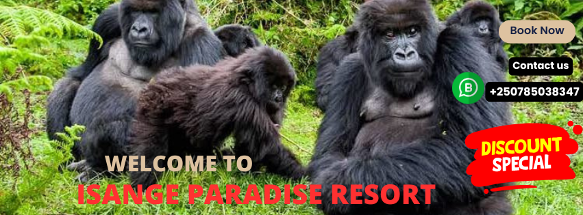 Isange Paradise Resort